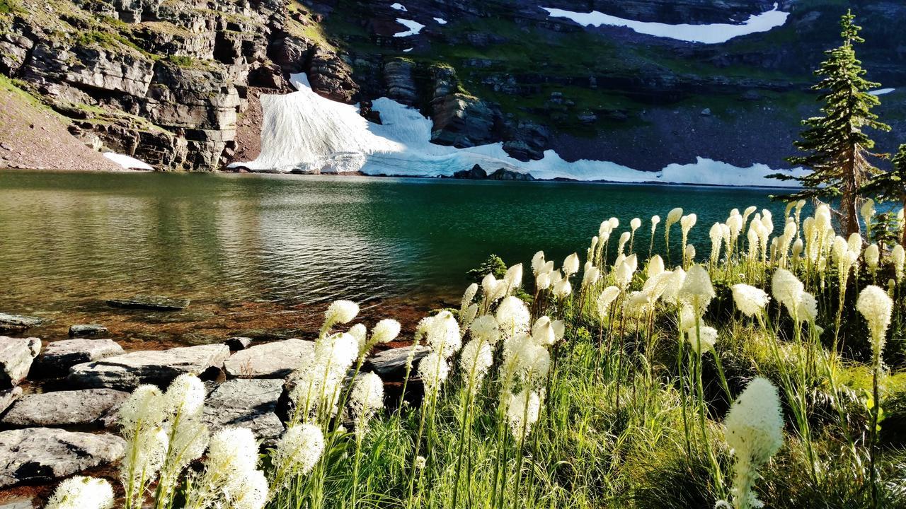 Dancing Bears Inn East Glacier Park Village Εξωτερικό φωτογραφία